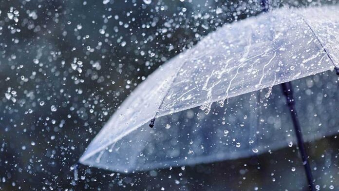 Weather | పలు జిల్లాలకు వర్ష సూచన