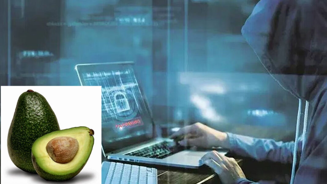 Cyber Fraud | అవకాడోల డెలివరీ పేరిట రూ.2.6 లక్షల టోకరా