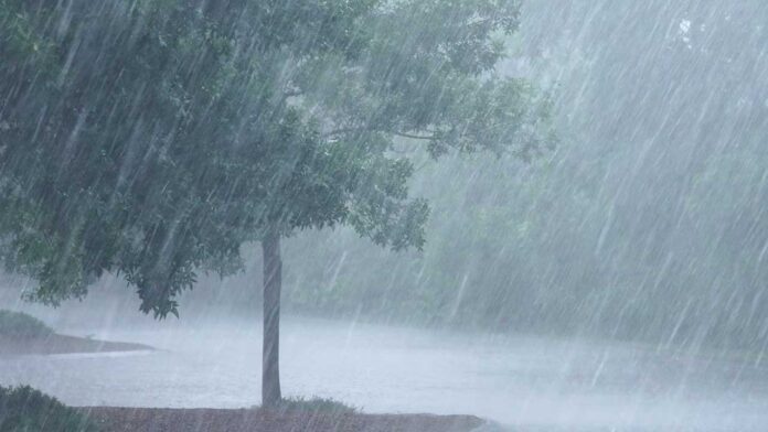 Rains