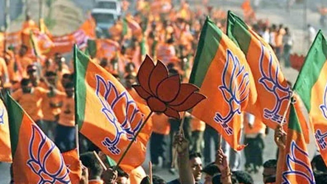 BJP BJP Kamareddy | బీజేపీ మండలాధ్యక్షుల నియామకం