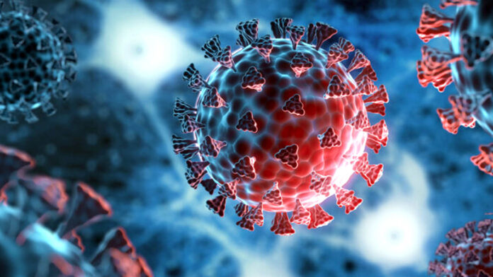 Corona Virus