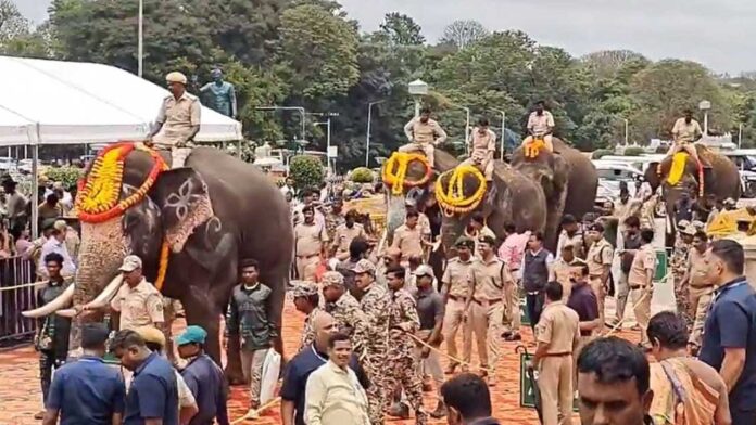 Elephants