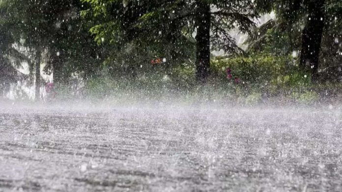 Heavy Rains