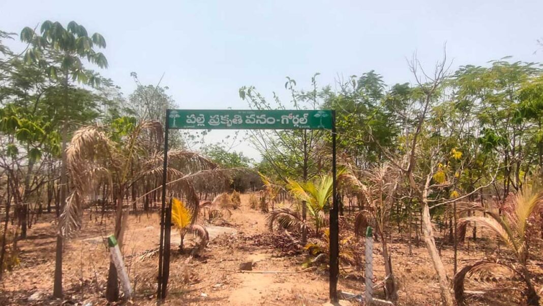 Palle Prakruthi Vanam | ప్రకృతి వనం.. అహ్లాదానికి దూరం..