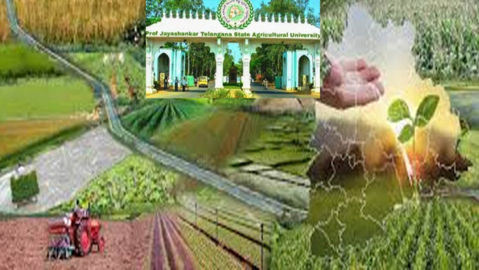 Agricultural University | వ్యవసాయ వర్సిటీలో కొత్త కోర్సులు.. అవేంటో చూద్దామా..