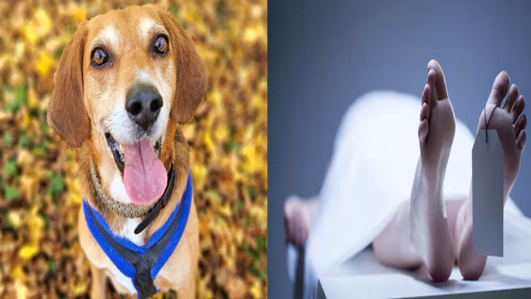 Dog eats young man's body | యువకుడి మృతదేహాన్ని పీక్కుతిన్న కుక్క.. ఎక్కడంటే..