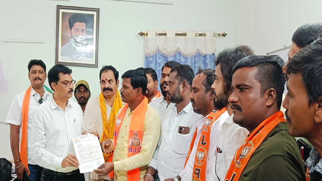 bjp-bodhan Conocarpus plants