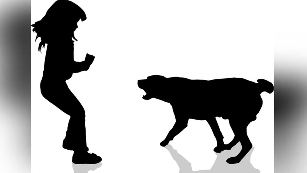 Dog Attack | వీధికుక్క దాడి.. గాయపడ్డ చిన్నారి