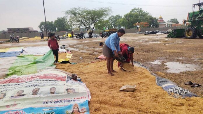 Heavy Rains | అకాల నష్టం.. రైతన్నను వెంటాడుతున్న వానలు