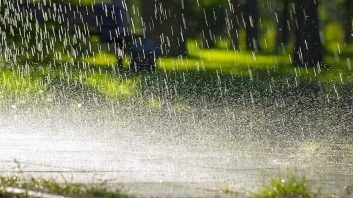 Rain Alert