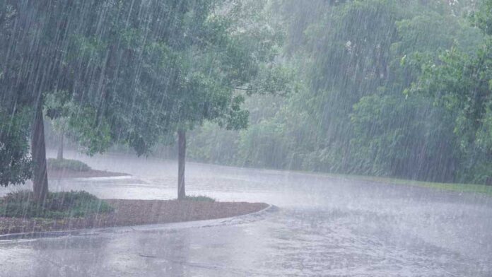 Heavy Rains