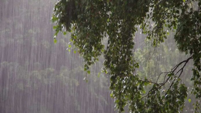 Rain Alert