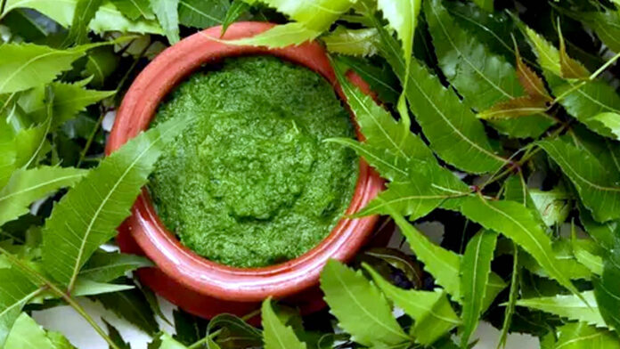 Neem leaves