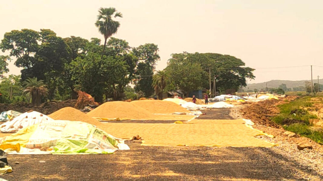 Paddy centers | ఆగని తరుగు దోపిడీ.. నష్టపోతున్న రైతులు