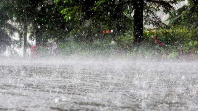 Weather