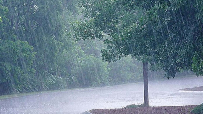 heavy rains | అరేబియా సముద్రంలో అల్పపీడనం.. భారీ వర్షాలకు కర్ణాటకలో ముగ్గురి మృతి