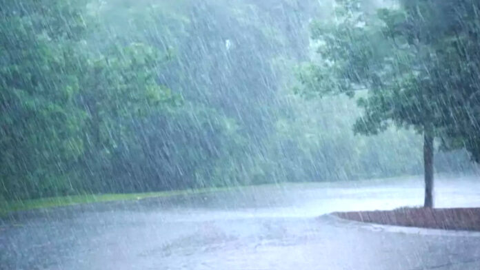 Rain alert