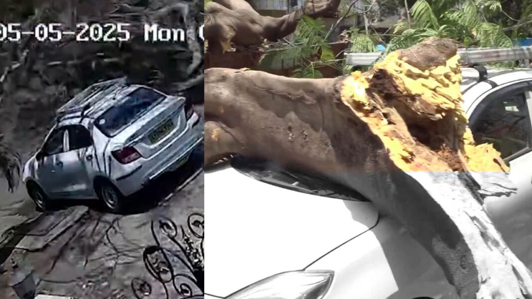 Vizag | విరిగిపడిన చెట్టు.. స్కూటీపై వెళ్తున్న మహిళ మృతి