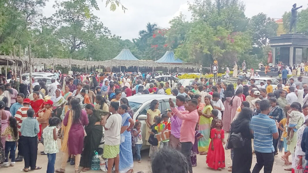 visitors at zoo park