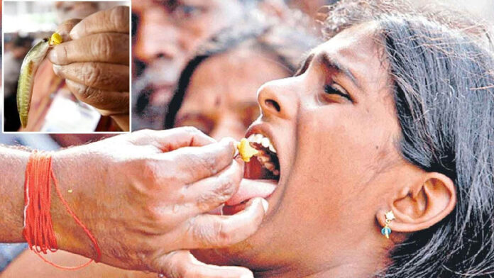 Chepa Prasadam