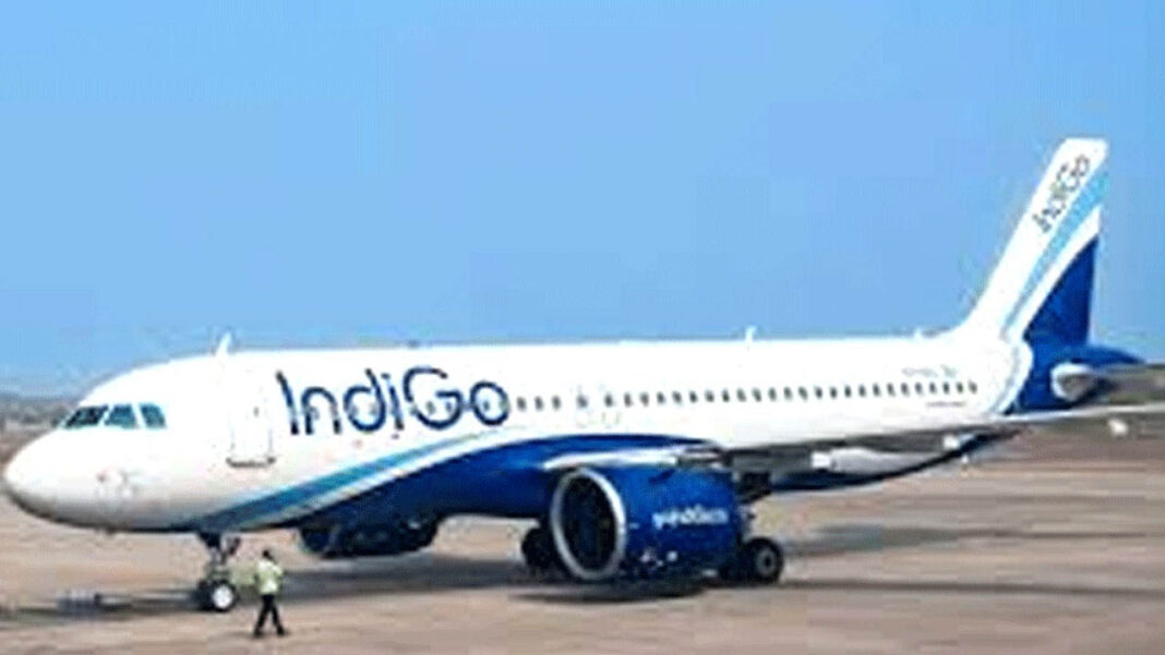 Indigo Flight Indigo Flight