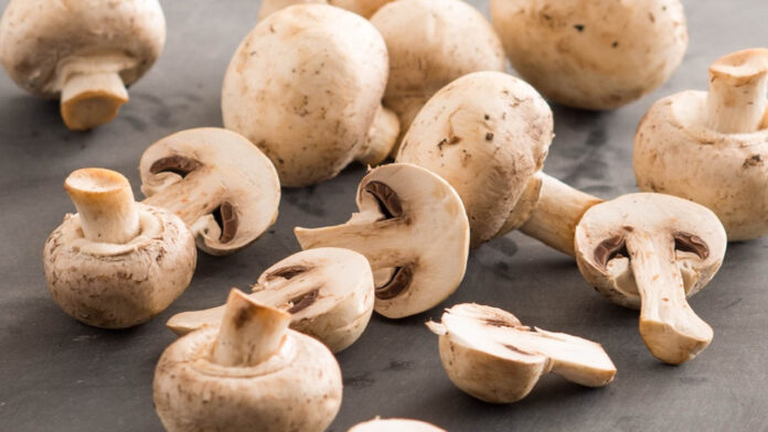 Mashrooms