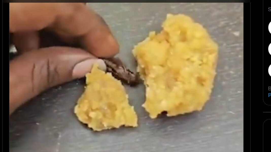 Srisailam | శ్రీశైలం లడ్డూ ప్రసాదంలో బొద్దింక కలకలం