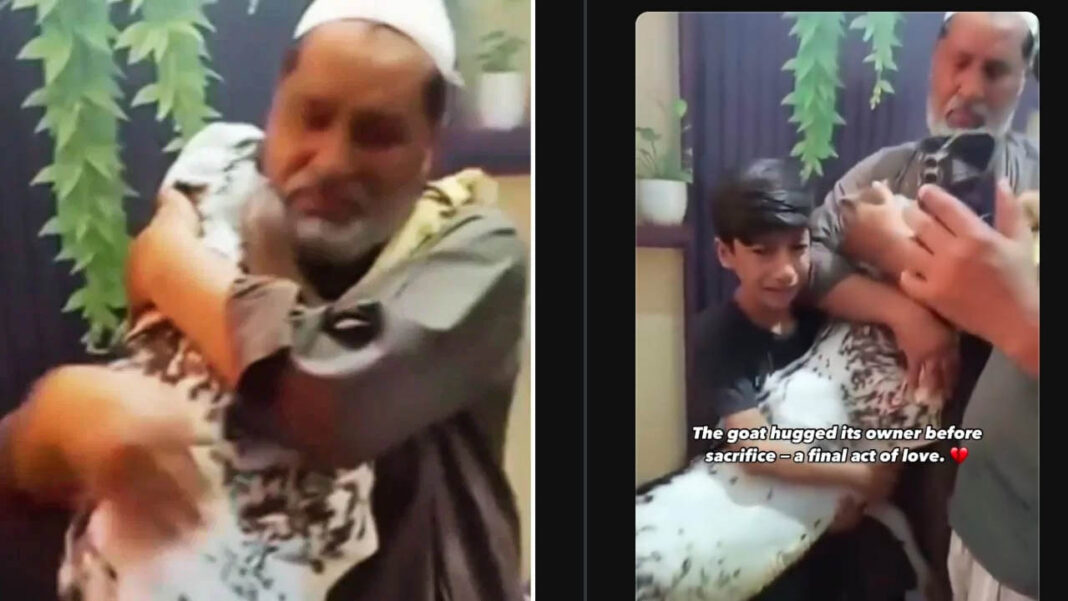 akshara today - meka viral video | బలిచ్చే ముందు యజమానిని కౌగిలించుకుని ఏడ్చిన మేక..