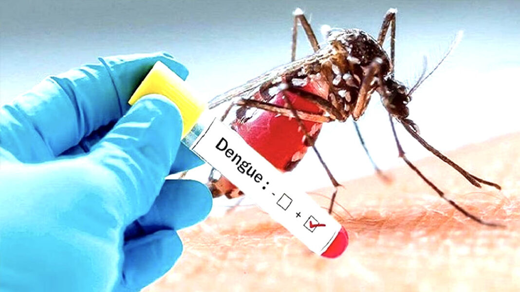 Dengue