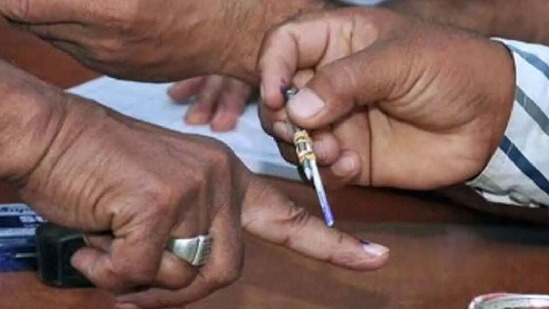 Local Body Elections