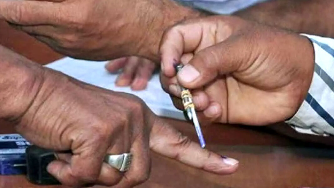 Local Body Elections