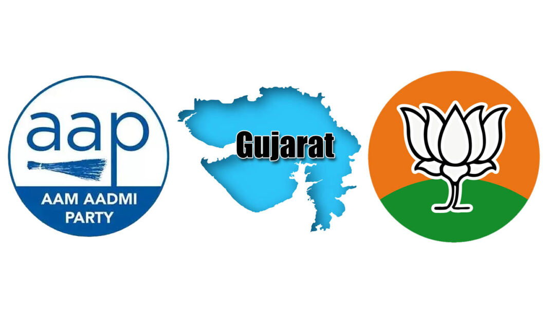 Assembly by-elections