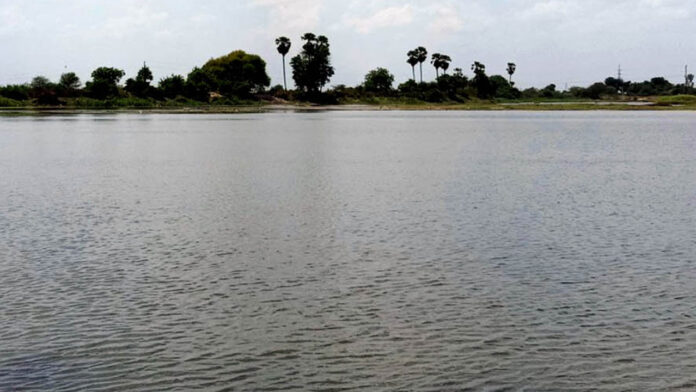 Kamareddy