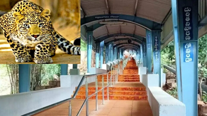 Tirumala