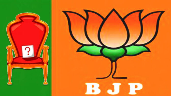 BJP National Leader