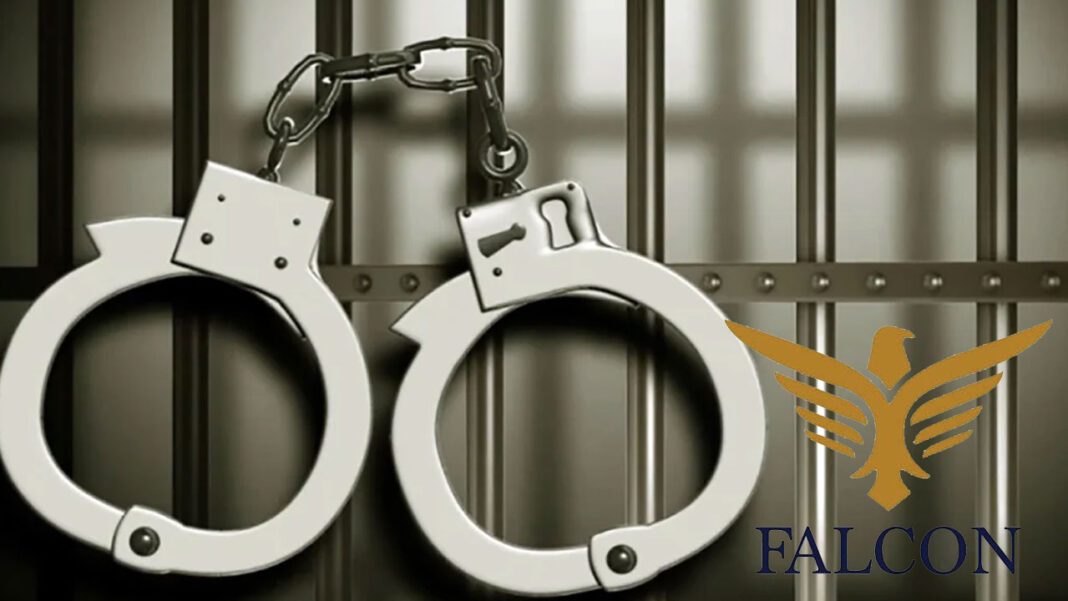 Falcon Scam