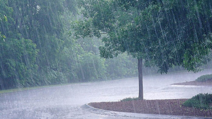 Heavy Rain