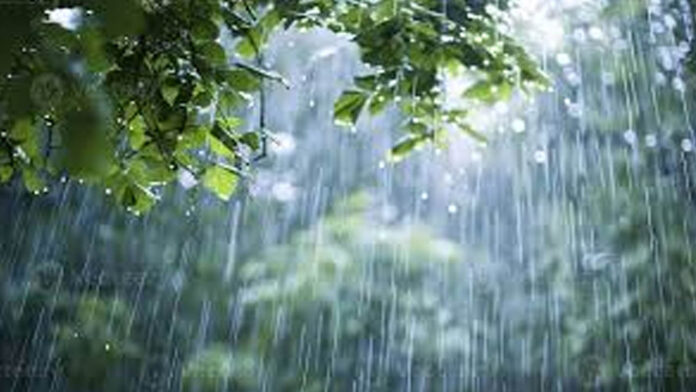 Heavy Rains