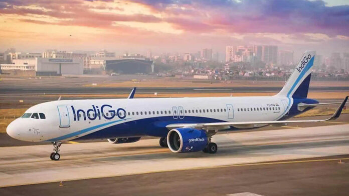 Indigo Flight