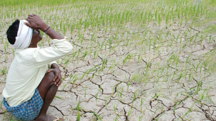 Kharif Season
