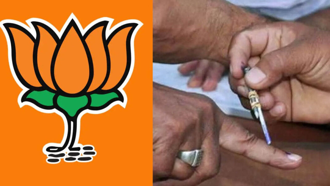 Local Body Elections