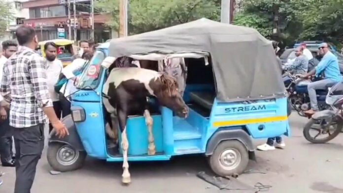 Madhya Pradesh