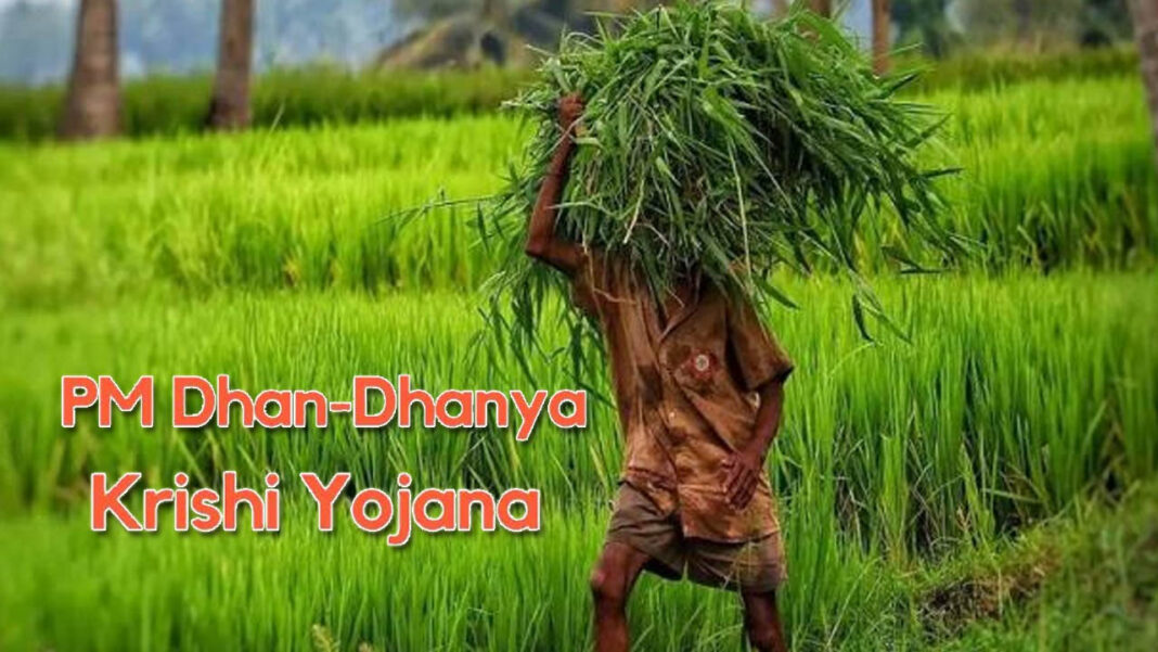 PM Dhan-Dhanya Krishi Yojana PM Dhan-Dhanya Krishi Yojana