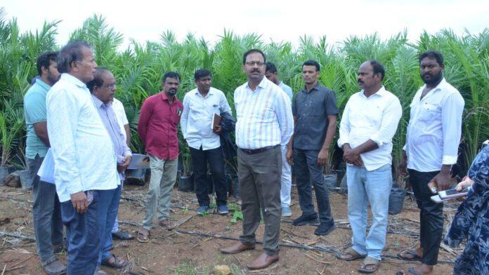 Collector | కమ్మర్​పల్లి, మోర్తాడ్​లో కలెక్టర్ ఆకస్మిక తనిఖీలు.. ఆయిల్ పామ్ నర్సరీ సందర్శన