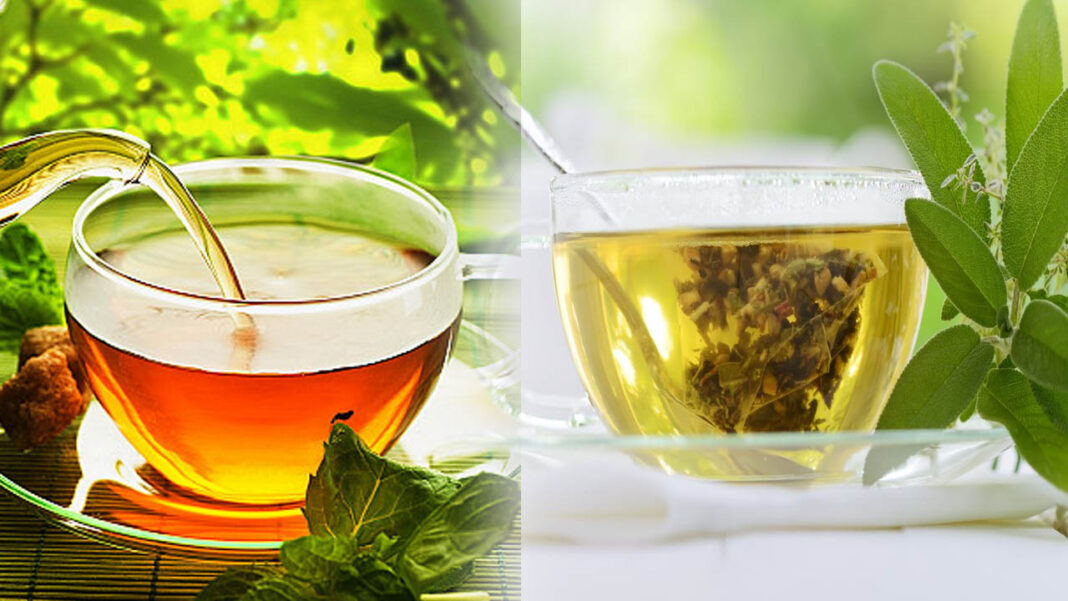 Green Tea | ఉదయం ఖాళీ కడుపుతో గ్రీన్ టీ తాగుతారా.. దాని ప్రభావం ఏమిటో తెలుసా..
