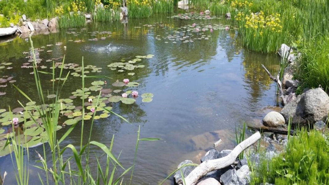 Kamareddy | అనుమానాస్పద స్థితిలో అక్కాచెల్లెళ్ల మృతి..! చెరువులో విగత జీవులుగా మారిన వైనం