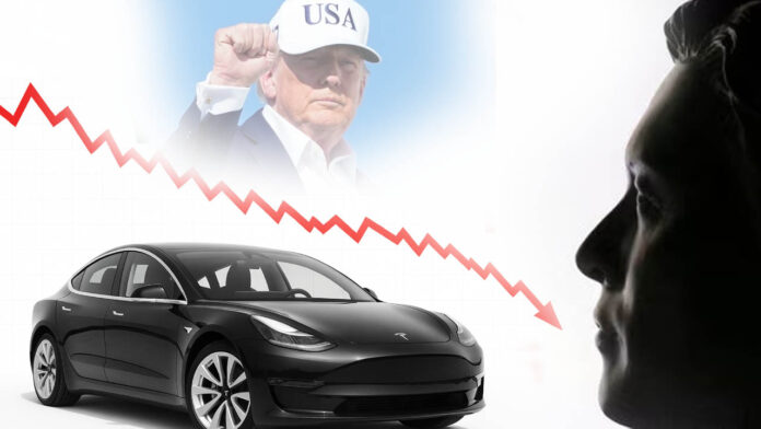 Tesla | ఎలన్​ మస్క్ కొత్త పార్టీ ఎఫెక్ట్.. భారీగా పతనమైన టెస్లా షేర్లు.. ఒకే రోజు ఎంత పడిపోయాంటే..