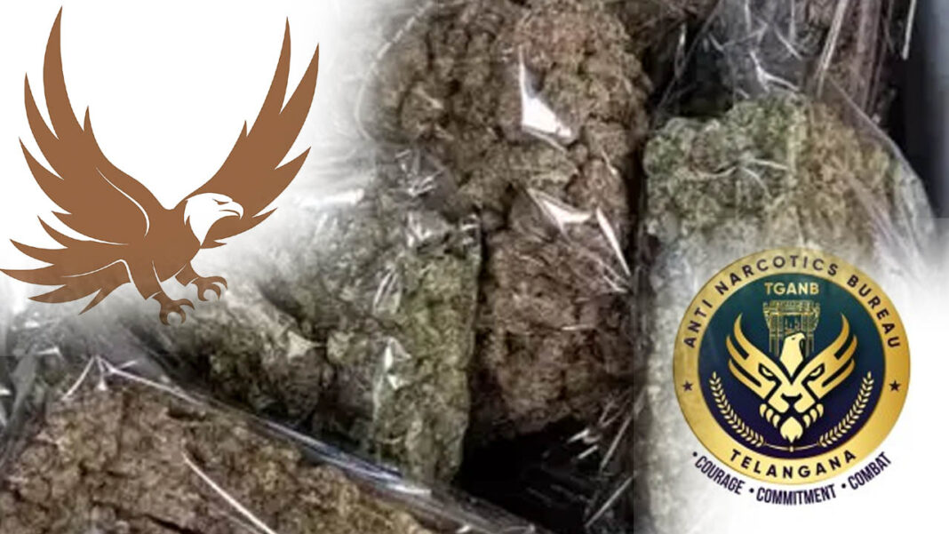 Eagle Team | గచ్చిబౌలిలో డెకాయ్​ ఆపరేషన్​.. గంజాయి కొనుగోలు చేస్తుండగా 86 మంది పట్టివేత