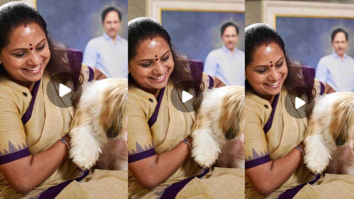 MLC Kavitha | పెంపుడు కుక్కతో అనుబంధం.. కవిత భావోద్వేగం