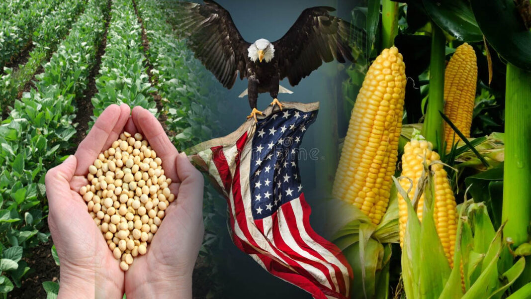 akshara today - soya corn us Trade Deal | అమెరికాతో వాణిజ్య ఒప్పందంపై ప్రతిష్టంభన.. లక్షలాది రైతుల ప్రయోజనాలపైనే కేంద్రం దృష్టి